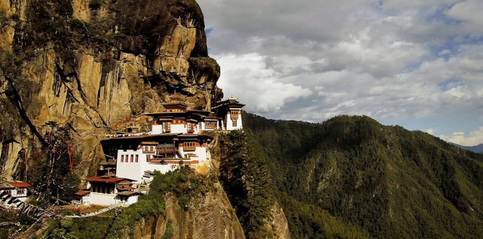 pexels-pixabay-67548