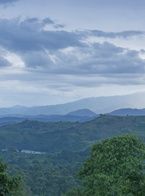 Climb to the peaks of Heaven