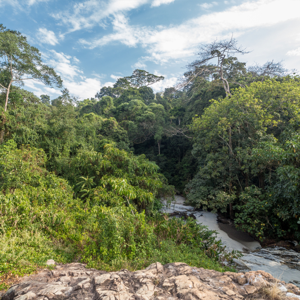 Dawn to Dusk Adventure on the Nile