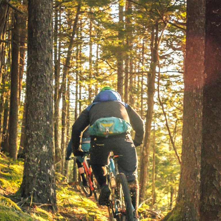 Dawn to Dusk Adventure on the Nile