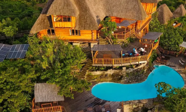 We sleep in the jungle