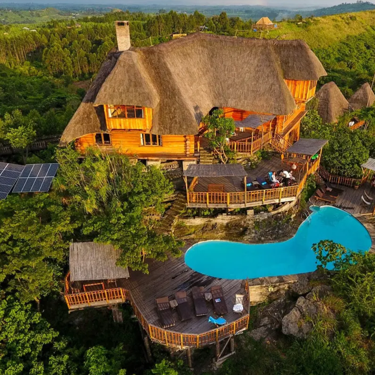 We sleep in the jungle